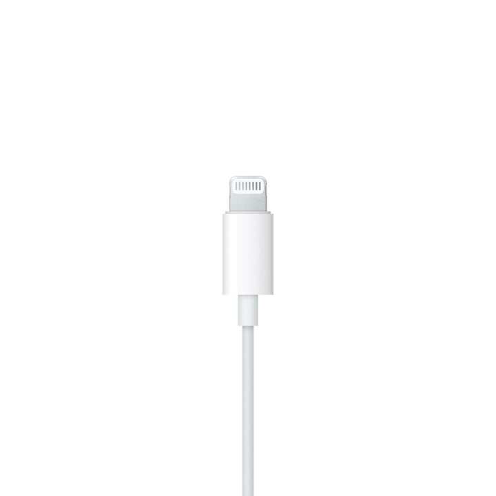 USB-C Ear Pods